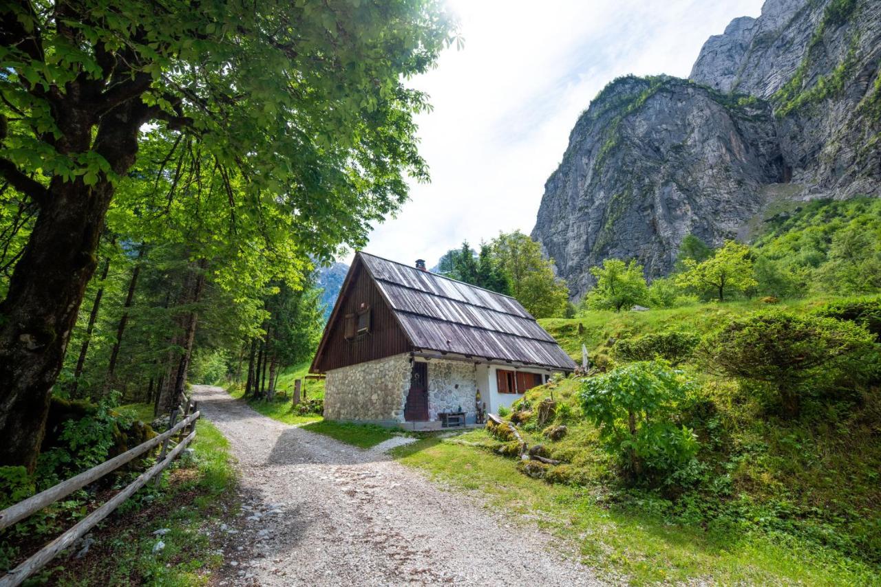 Villa Fairy Tale House Trenta Esterno foto